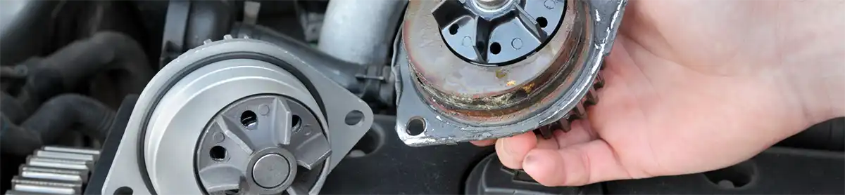 Echo Park Los Angeles Auto Repair Water Pump Replacement